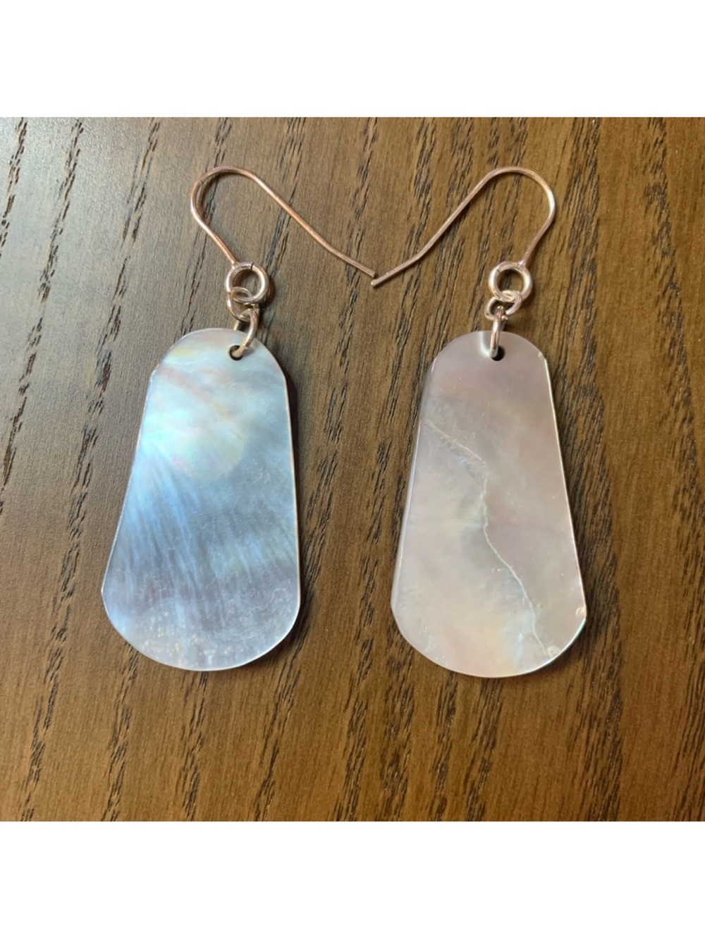 NWOT Seashell Earrings